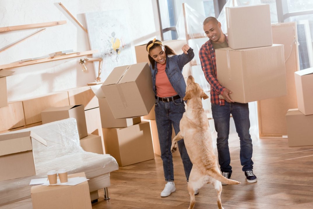 couples_avec_chien_et_cartons_de_déménagement