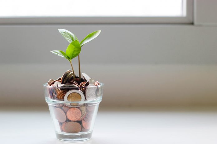 plantes dans un pot avec pièces de monnaie