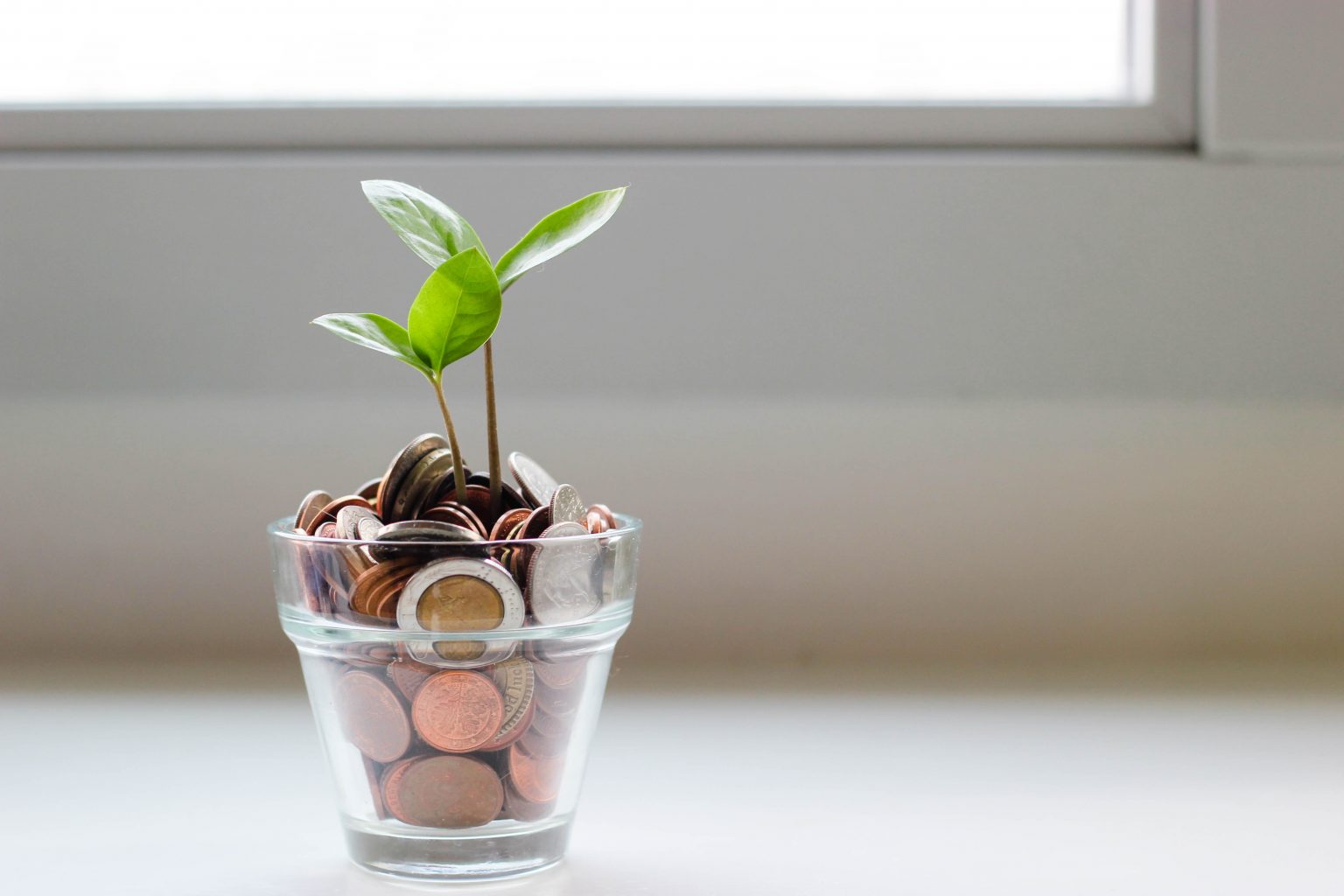 Geld sparen